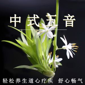 嗯～嗯～别吸了放进去H
